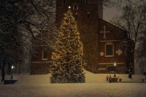 Albero di Natale addobbato per le feste